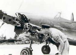 P-40.jpg