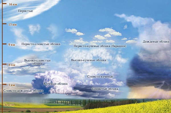 1-Vidi_oblakov_plus_(1).jpg.4be8881c1c335ec9cfd088ccc75b8f2a.jpg