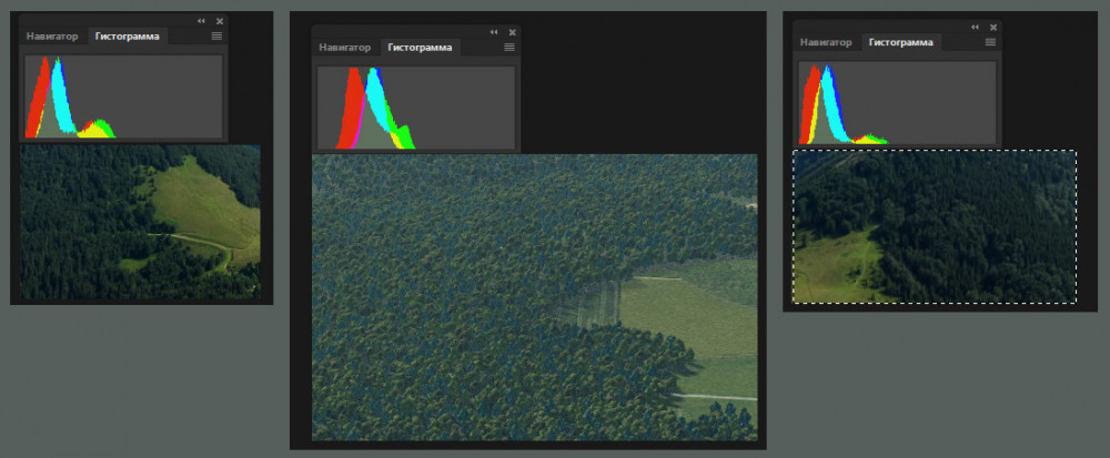 Без имени-8.jpg