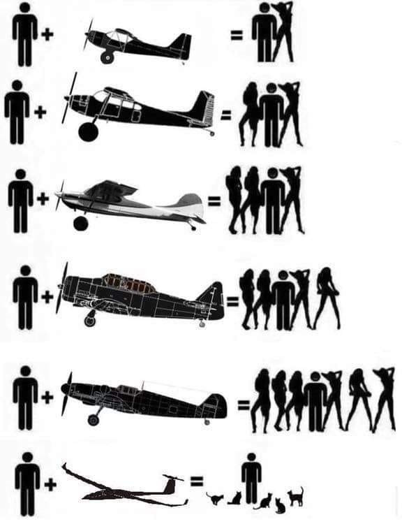 PlanesGirlsCats.jpg.4a36f6fc3bb7c844f92f0c0cdd0816f0.jpg