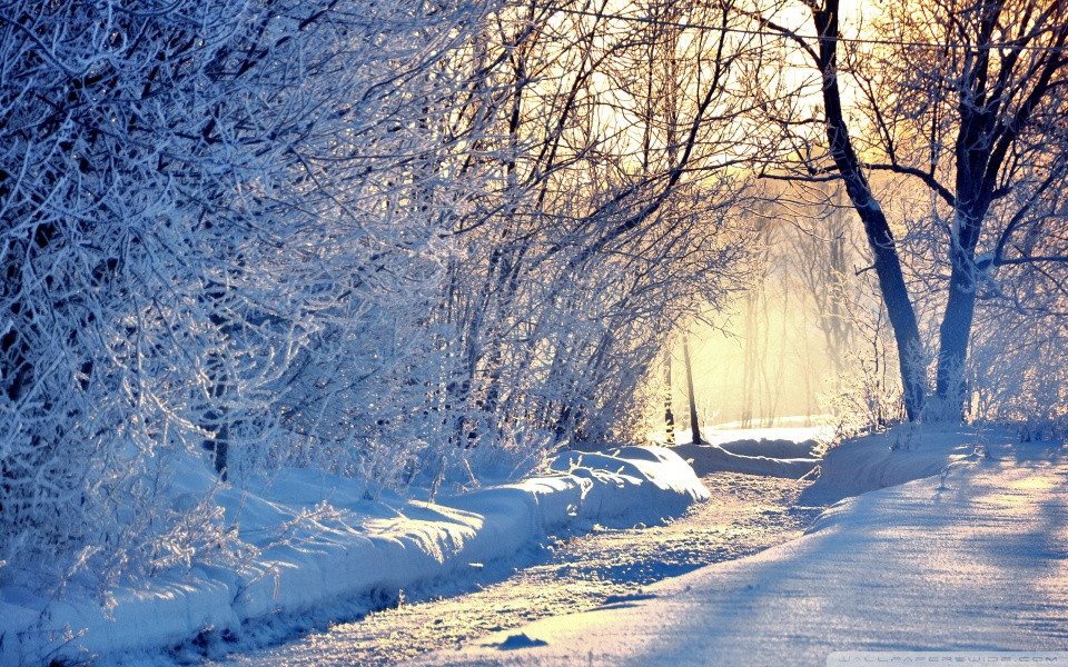 winter_morning_light-wallpaper-960x600.jpg.f956d5295ec2440692d5a14f86d44ffc.jpg