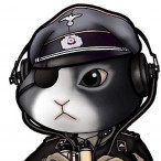 RoBiNGuD