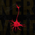 Nerv0ID