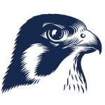 Falcon_85