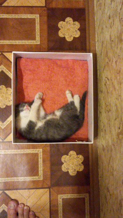 WhatsApp Image 2021-12-12 at 04.38.46 (7).jpeg