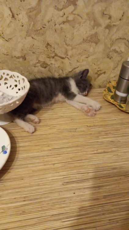 WhatsApp Image 2021-12-12 at 04.38.46 (1).jpeg