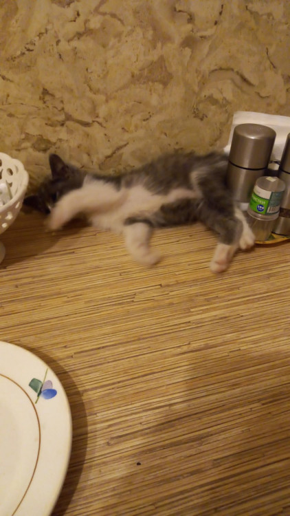 WhatsApp Image 2021-12-12 at 04.38.46.jpeg