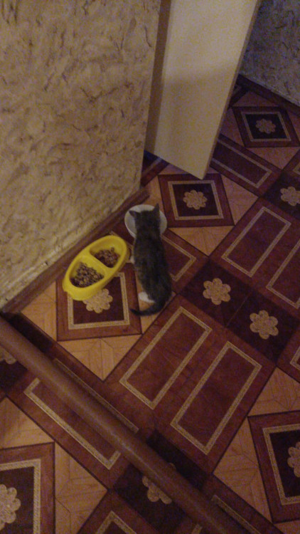 WhatsApp Image 2021-12-12 at 04.38.46 (3).jpeg