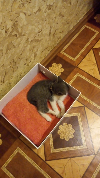 WhatsApp Image 2021-12-12 at 04.38.46 (6).jpeg