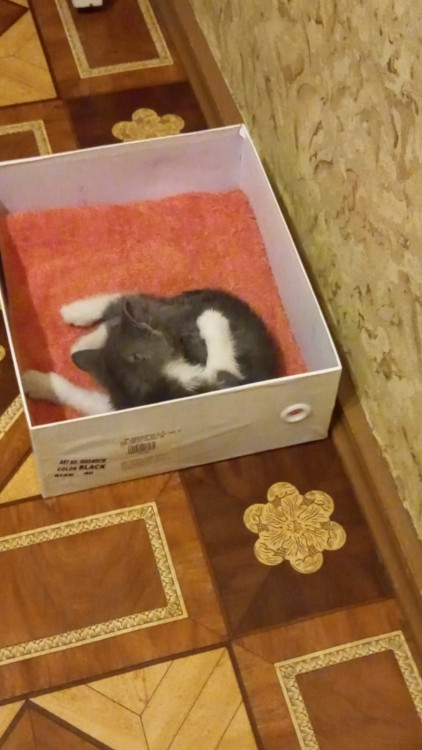 WhatsApp Image 2021-12-12 at 04.38.46 (5).jpeg