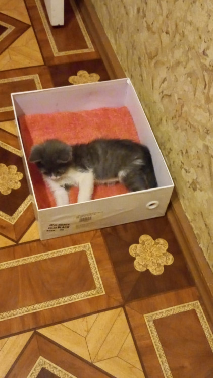 WhatsApp Image 2021-12-12 at 04.38.46 (4).jpeg