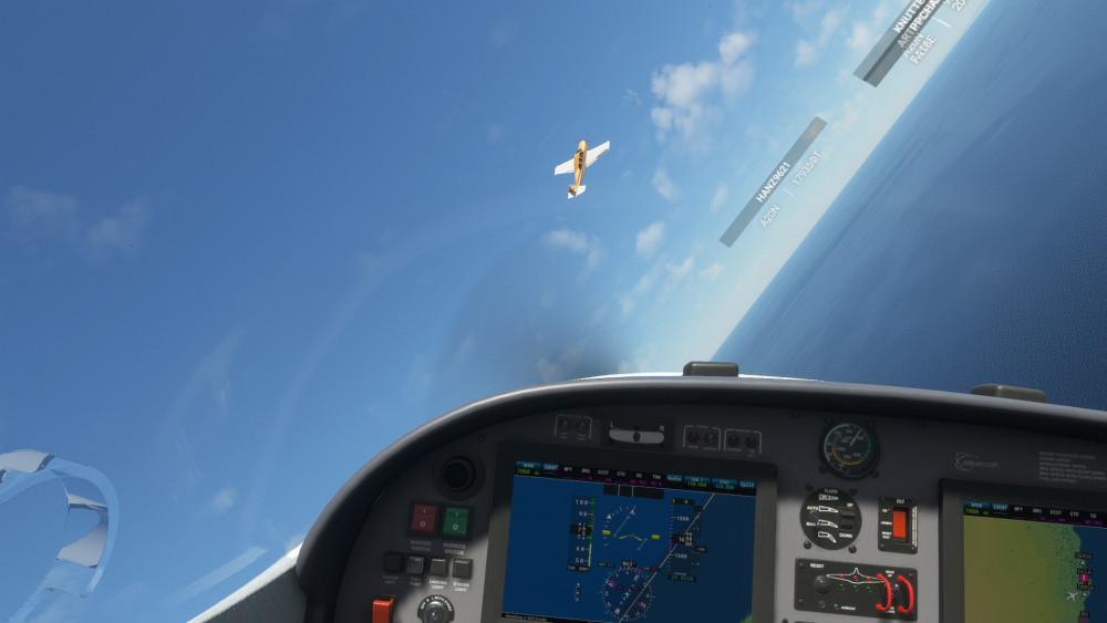 FlightSimulator 2022-01-09 20-50-23-46.jpg