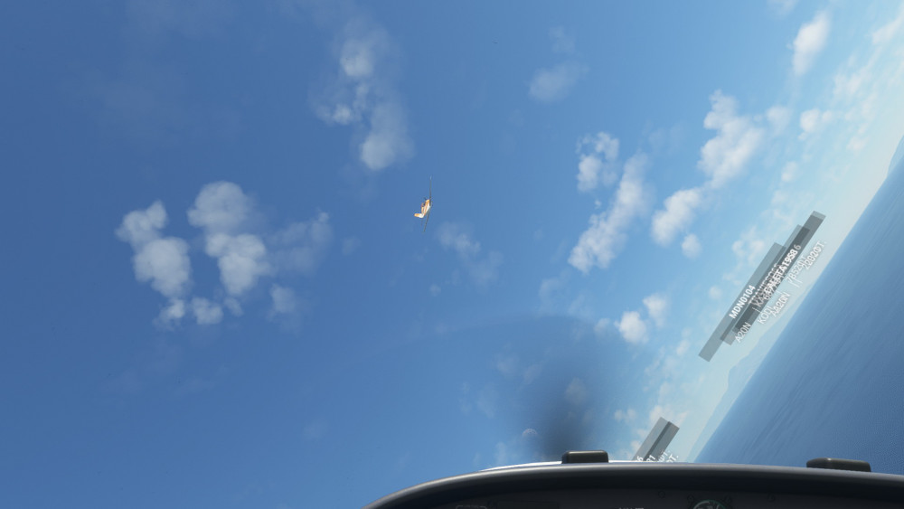 FlightSimulator 2022-01-09 20-50-24-30.jpg