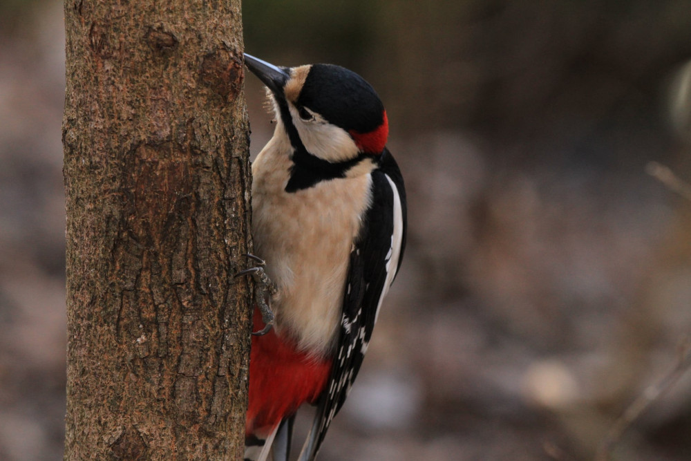 277776385_4987100068011414_720070929780485991_n (1).jpg