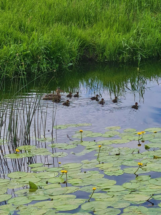 photo_2022-06-26_11-58-47 (2).jpg