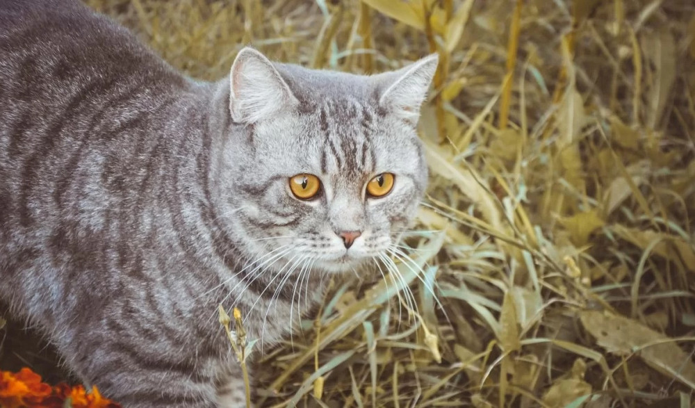 Снимок экрана (2687).jpg