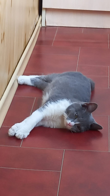 WhatsApp Image 2022-04-04 at 09.10.13.jpeg