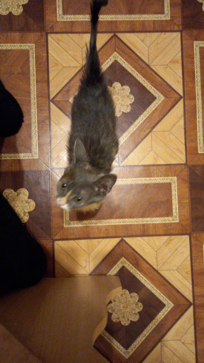 WhatsApp Image 2022-05-20 at 06.52.18 (2).jpeg