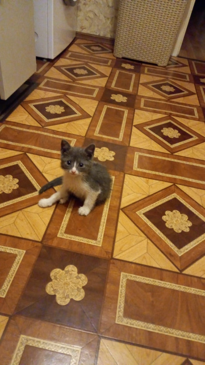 WhatsApp Image 2022-05-20 at 06.52.18.jpeg