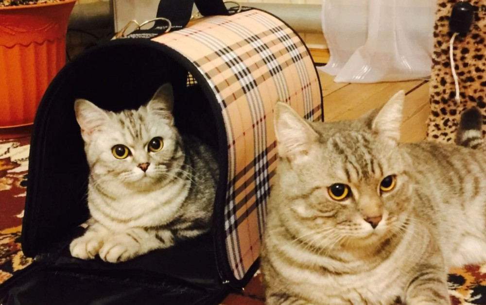 Снимок экрана (2686).jpg