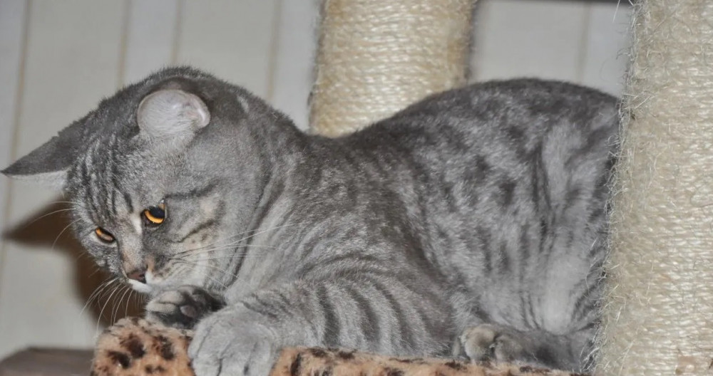 Снимок экрана (2682).jpg