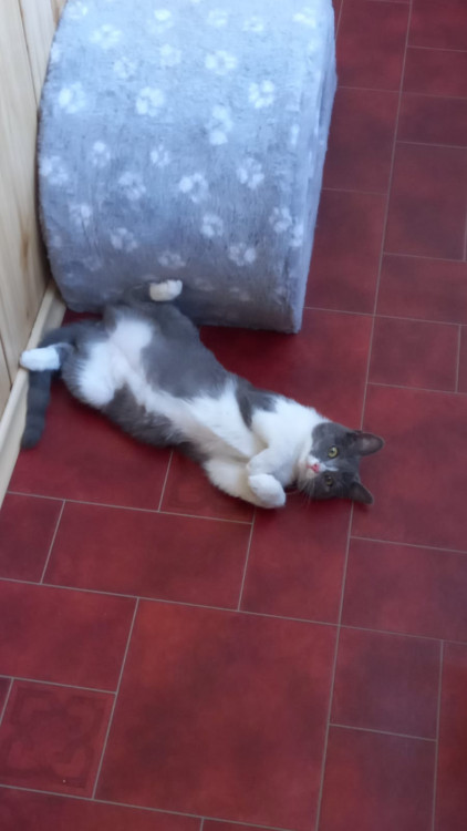 WhatsApp Image 2022-05-12 at 17.51.15.jpeg