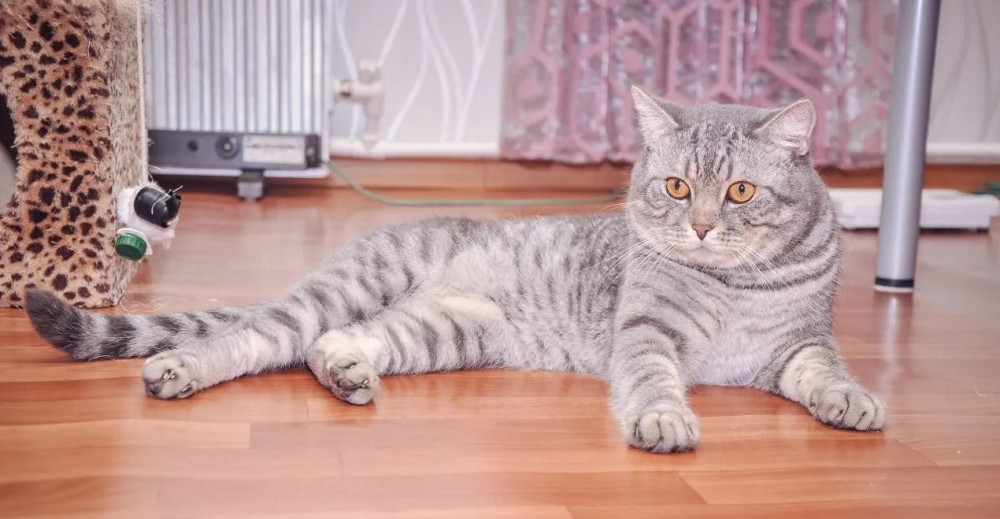 Мартин дома.jpg