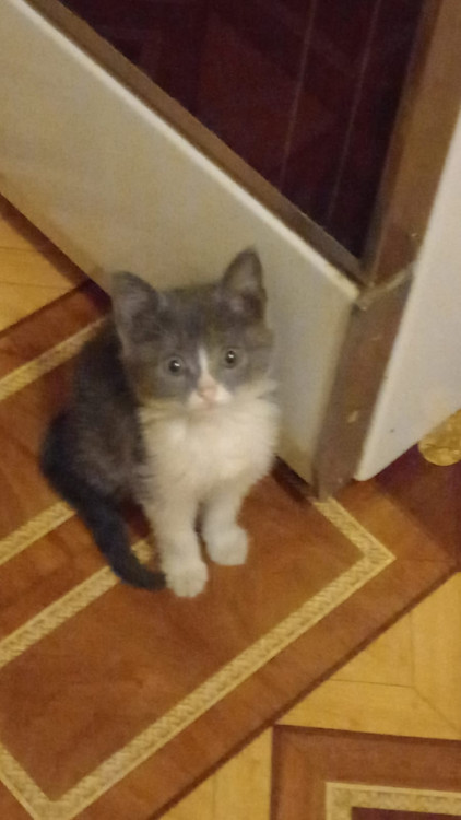 WhatsApp Image 2022-05-20 at 06.52.18 (1).jpeg