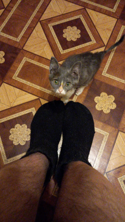 WhatsApp Image 2022-05-20 at 06.52.18 (3).jpeg