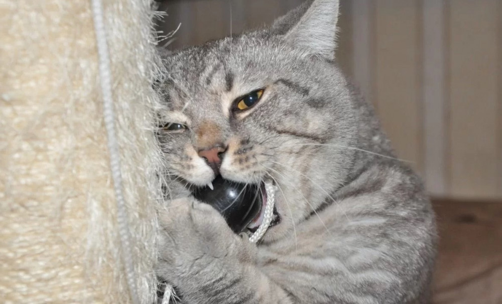 Снимок экрана (2684).jpg