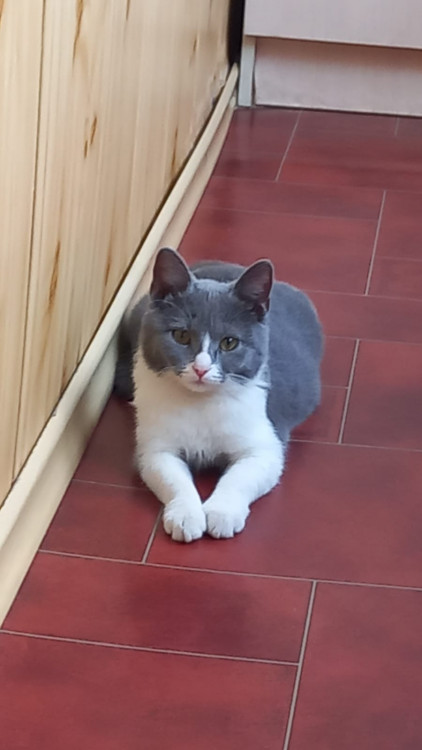 WhatsApp Image 2022-04-04 at 09.08.19.jpeg