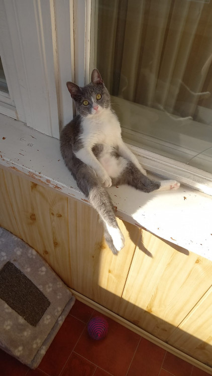 WhatsApp Image 2022-05-13 at 07.12.10.jpeg