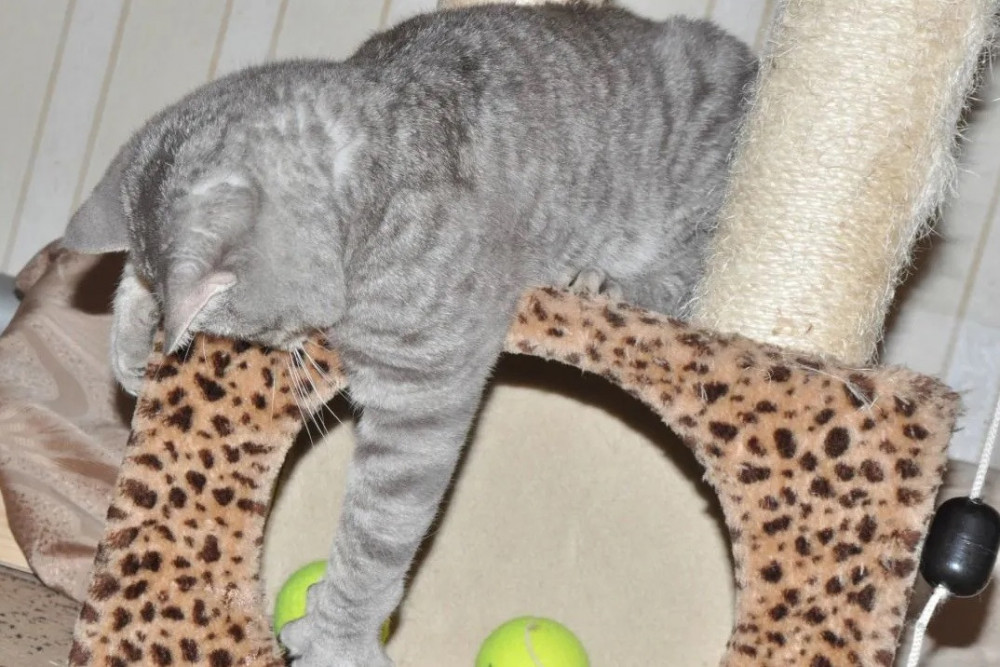 Снимок экрана (2683).jpg