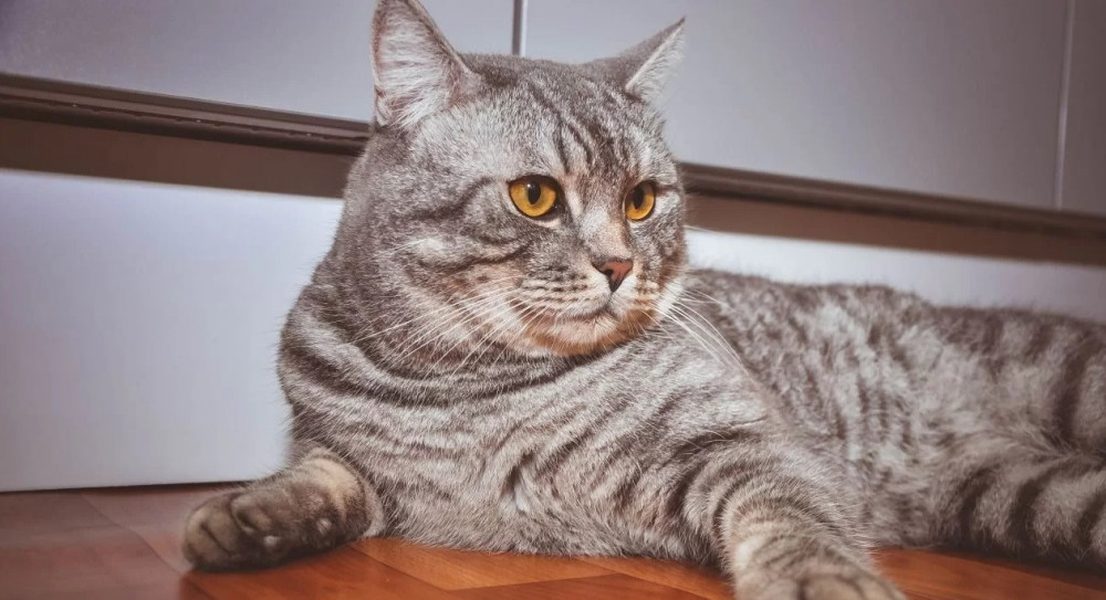 Снимок экрана (2681).jpg