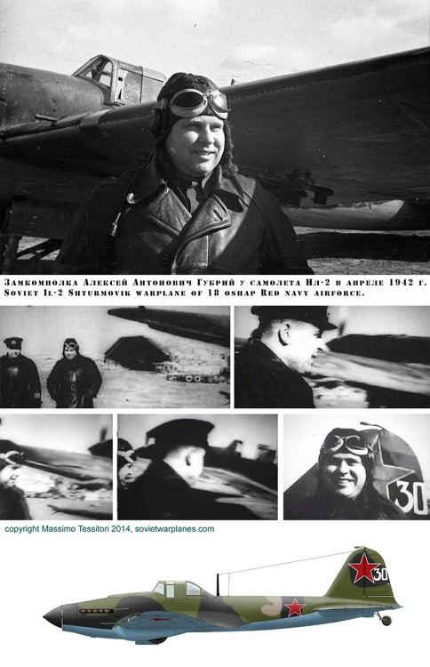 Il-2_30ka_01.jpg