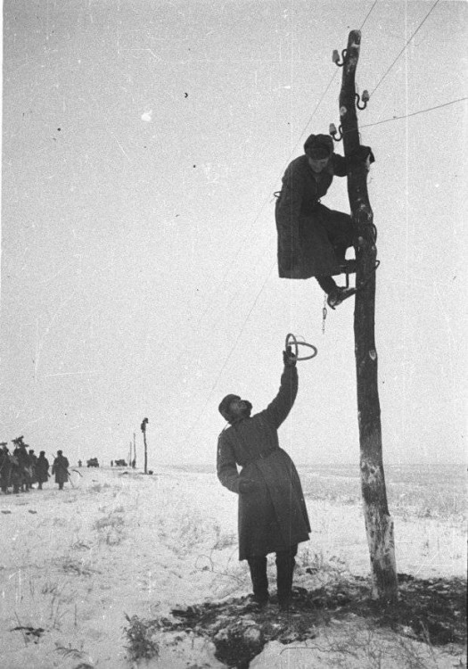 7-3.thumb.jpg.f4b0354e6f37701e00449e8d18