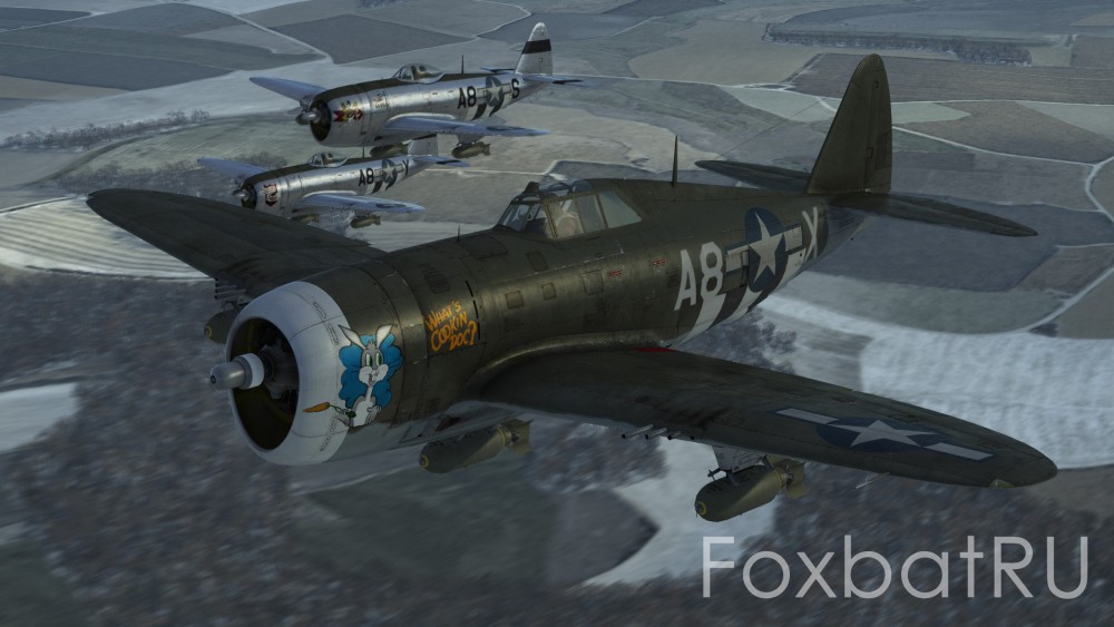 p-47_366th_FG_3.thumb.jpg.a50fbf4230cbf62ebc0f386d4280b429.jpg