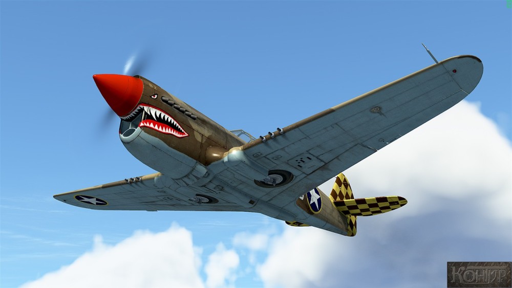 P-40_02.jpg