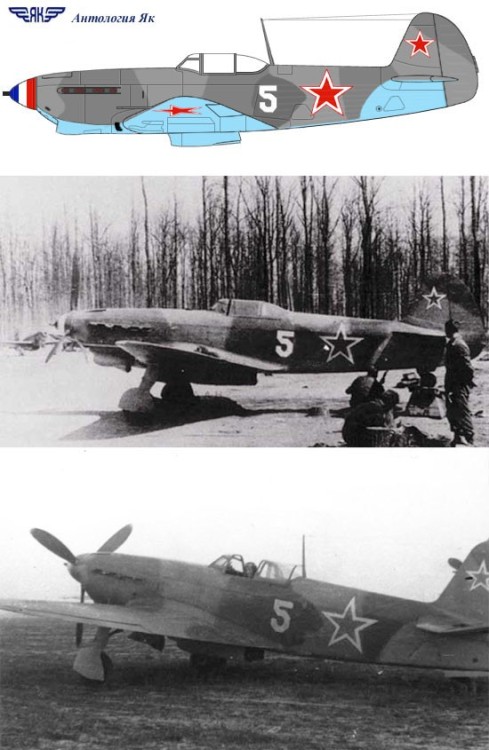 Роже Саваж_1.jpg