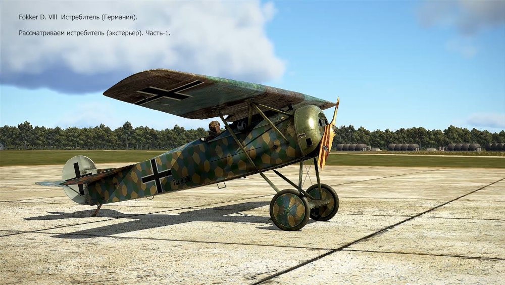 Fokker D Vlll OSMOTR P-1 FC.png