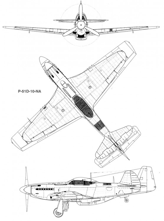 p51d-Як9П.jpg