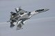 Goose-54
