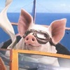 Swinomatka