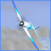 SDPG_SPAD