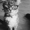 WaffenCat