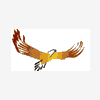 ROSS_Eagle*