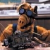 xxx_ALF_xxx