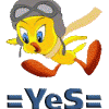 =YeS=Newman