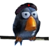 =HH=Hohlick