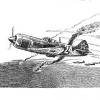 Maxfly